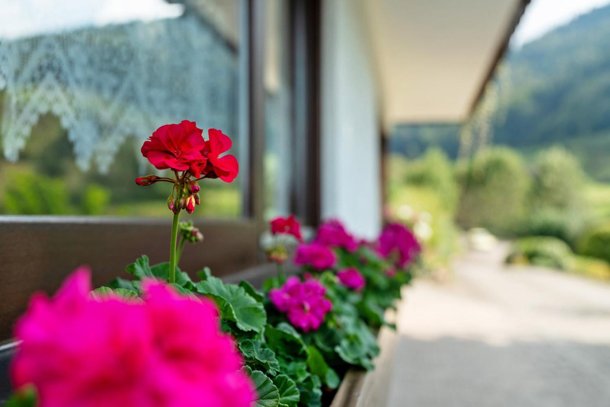 Haus Schindler Apartment อ็อทเทนเฮอเฟน ภายนอก รูปภาพ